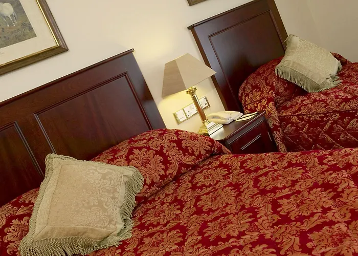 Hotel Maudlins House Naas