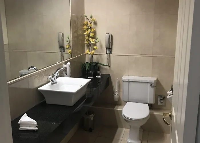 Hotel Maudlins House Naas